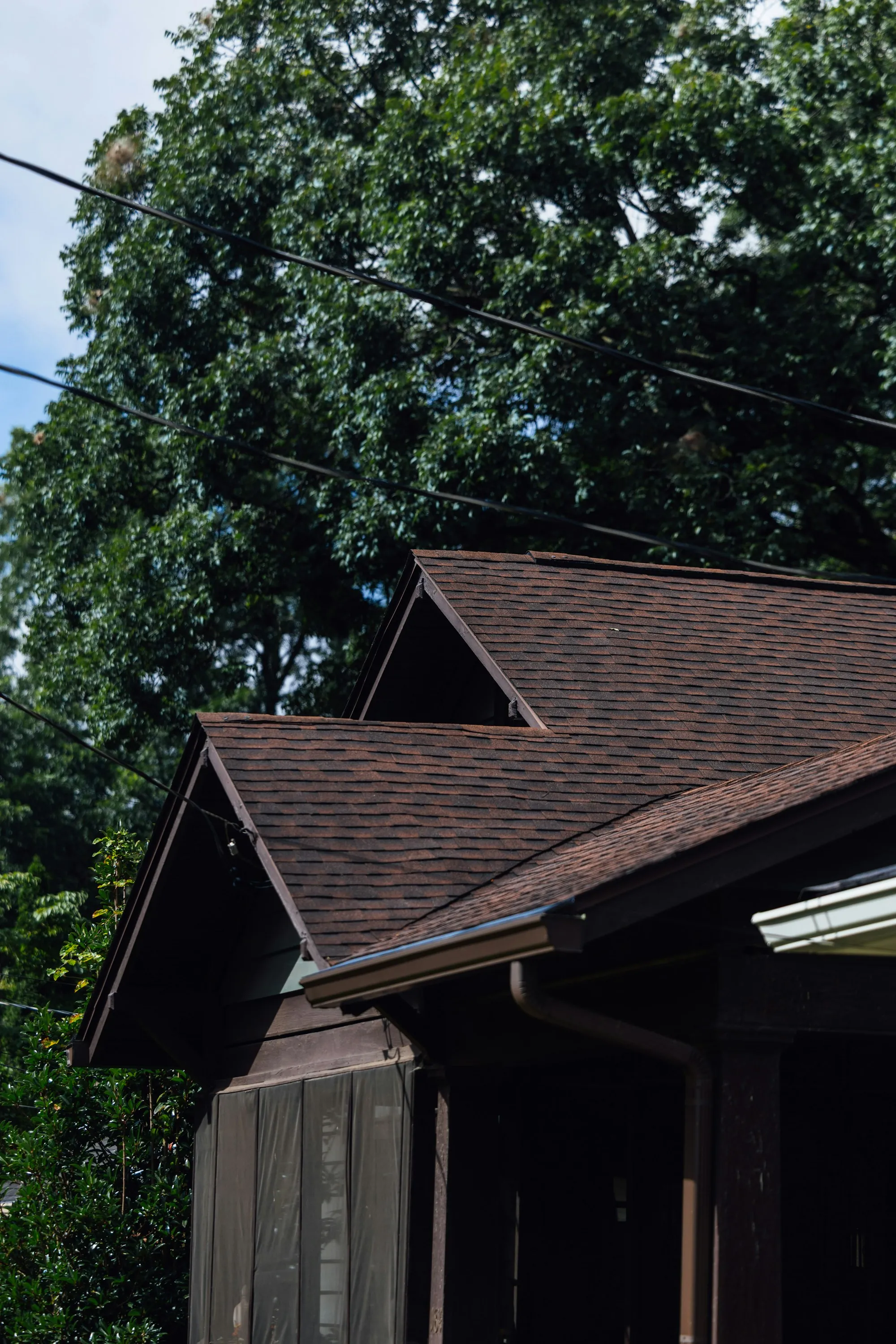 Brown asphalt shingle roof lines among green trees, a roof like those checked for hail and wind damage under solar panels in Homer Glen